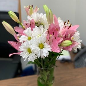 Meet your Posher, Rabiya